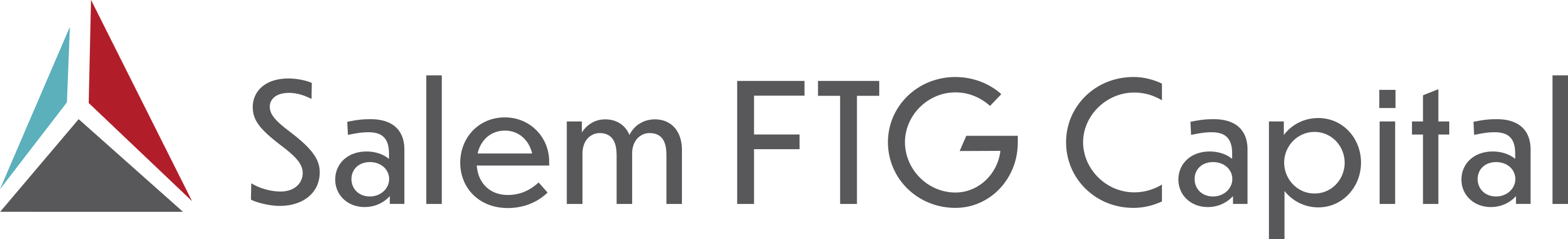 Salem FTG Capital logo